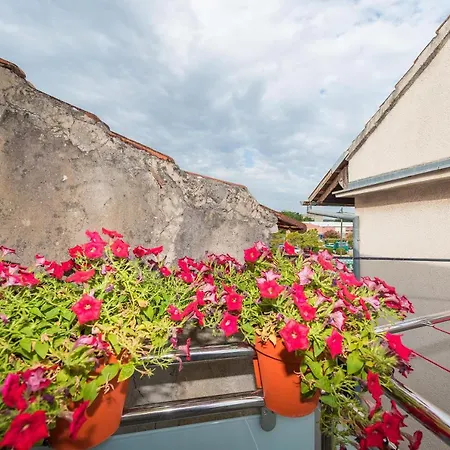 Lavi Apartment